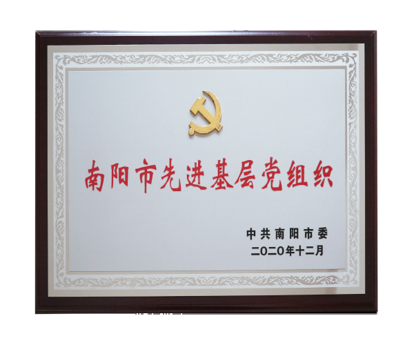 2020年南阳市先进基层党组织