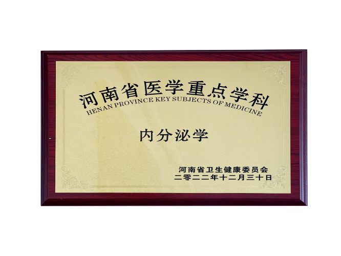 河南省医学重点学科 内分泌学